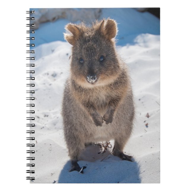 Quokka on the beach notebook (Front)
