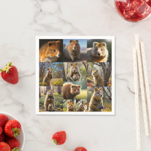 Quokka Photo Collage,  Napkins