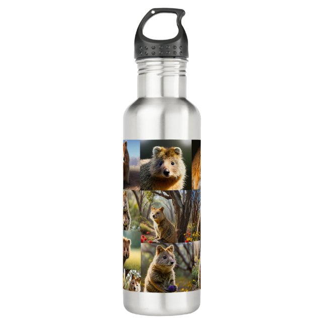 Quokka Photo Collage,  Stainless Steel Water Bottle (Front)