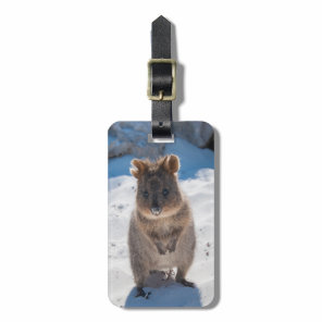 Quokka: The happiest animal on the planet! Luggage Tag