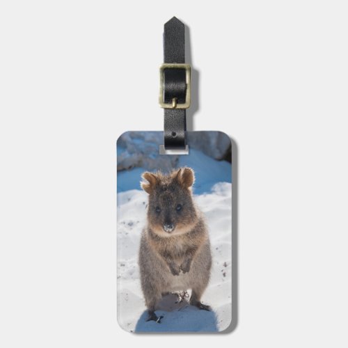 Quokka The happiest animal on the planet Luggage Tag