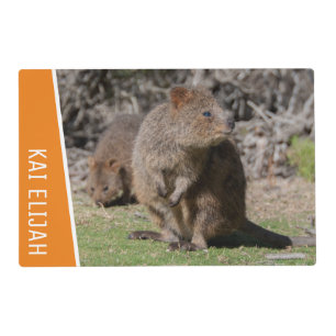 Quokkas Eating Grass Australia Orange Customizable Placemat