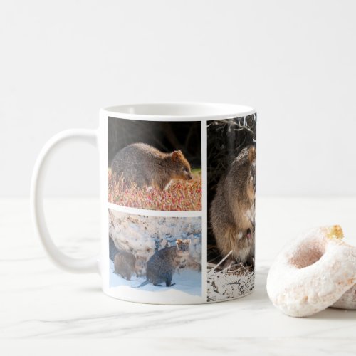 Quokkas of Australia Coffee Mug