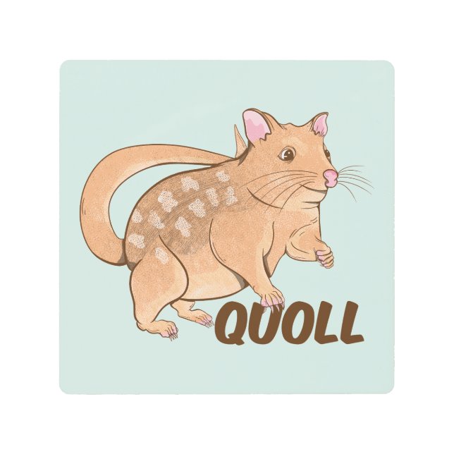Quoll Australian Marsupial  Metal Print (Front)