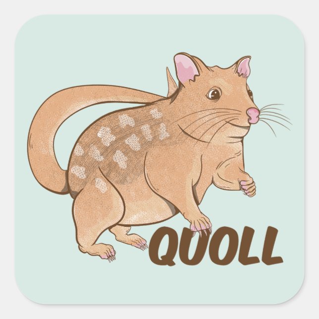 Quoll Square Sticker (Front)