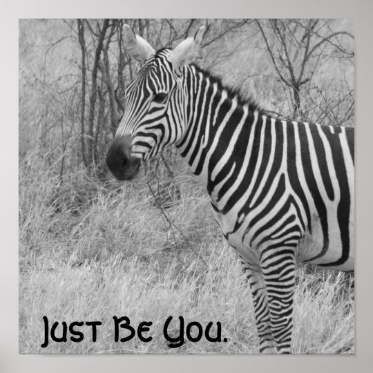 Quote and Zebra Poster | Zazzle.com