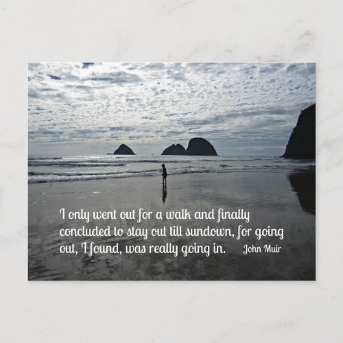 Quote by John Muir about going for a walk Postcard