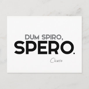 QUOTES: Cicero: Dum spiro, spero Postcard