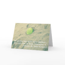 Quotes from The Little Prince/Le Petit Prince