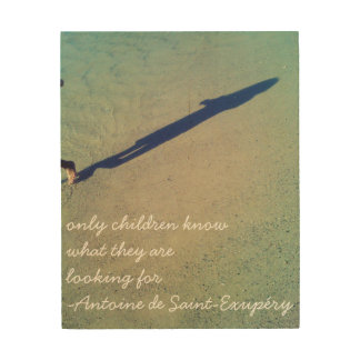 Quotes from The Little Prince/Le Petit Prince Wood Wall Decor