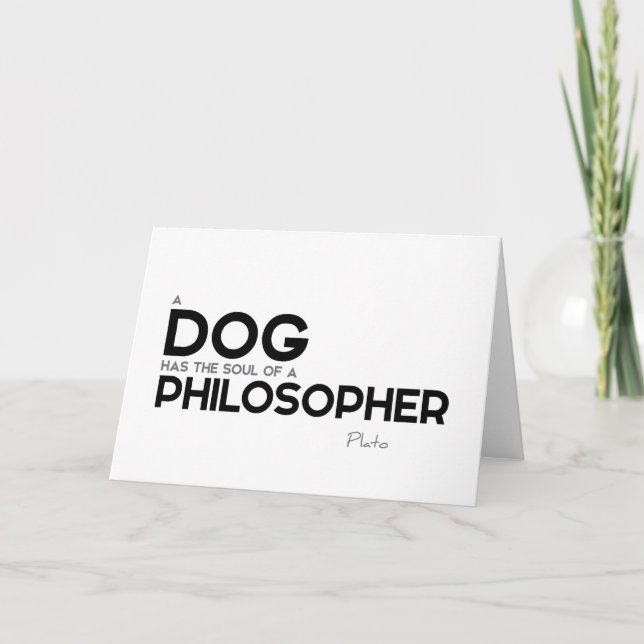 QUOTES: Plato: Dog, philosopher Card (Front)
