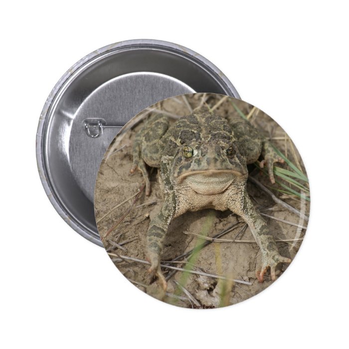 R0010 Prairie Toad Pinback Buttons