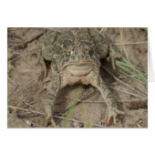 R10 Prairie Toad (Front Horizontal)