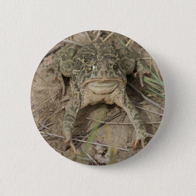 R10 Prairie Toad Button (Front)