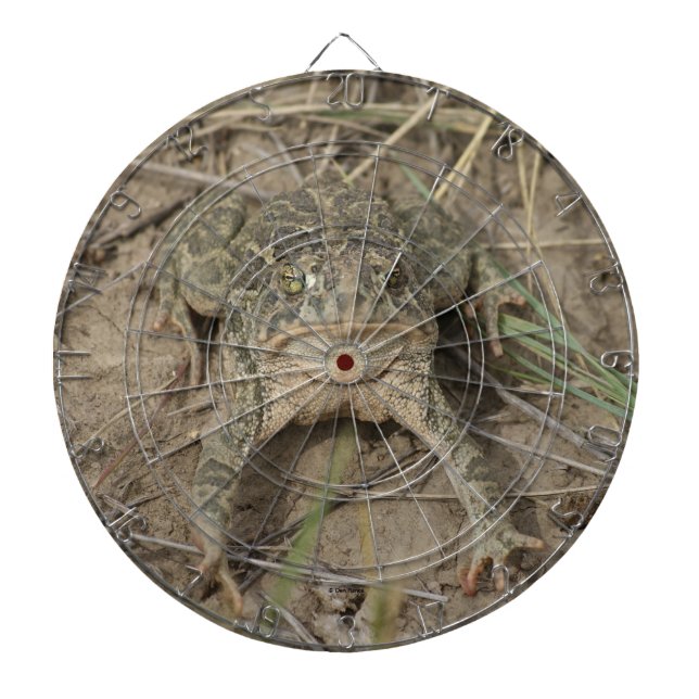 R10 Prairie Toad Dart Board (Front)