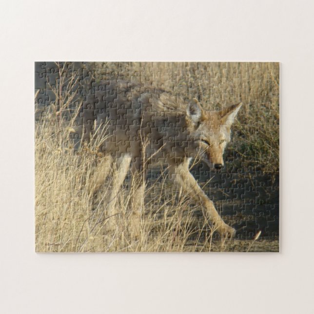 R14 Coyote Walking Jigsaw Puzzle (Horizontal)