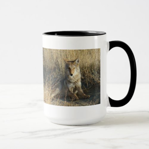 R15 Coyote Laying Mug