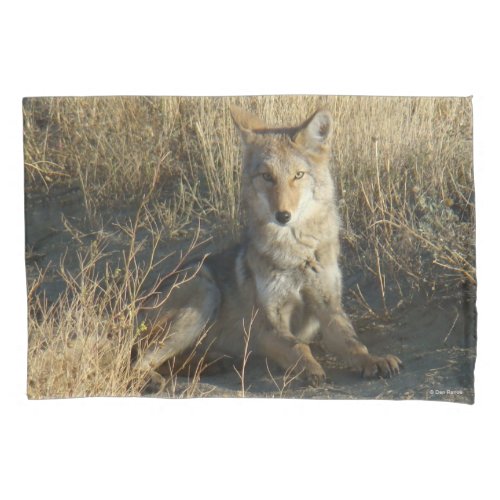 R15 Coyote Laying Pillow Case