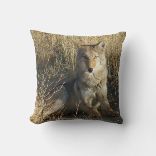 R15 Coyote Laying Throw Pillow