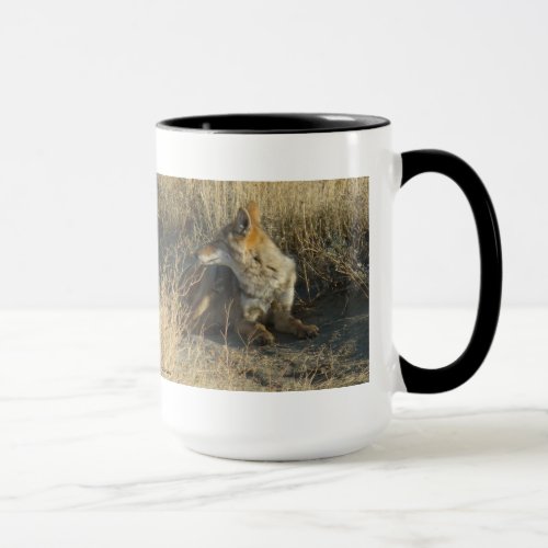 R16 Coyote Laying Mug