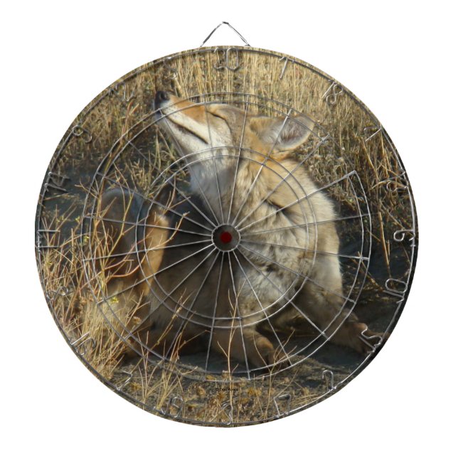 R17 Coyote Scratching Dart Board (Front)