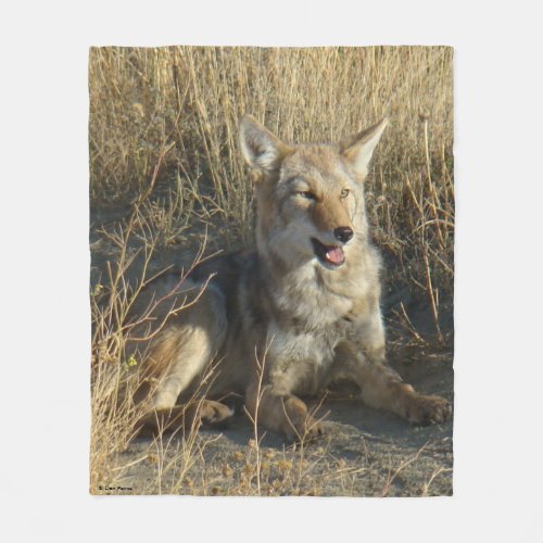 R18 Coyote Laying Fleece Blanket