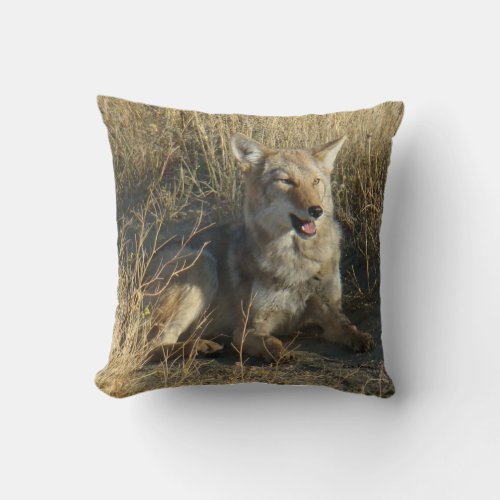 R18 Coyote Laying Throw Pillow