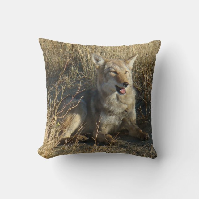 R18 Coyote Laying Throw Pillow (Front)