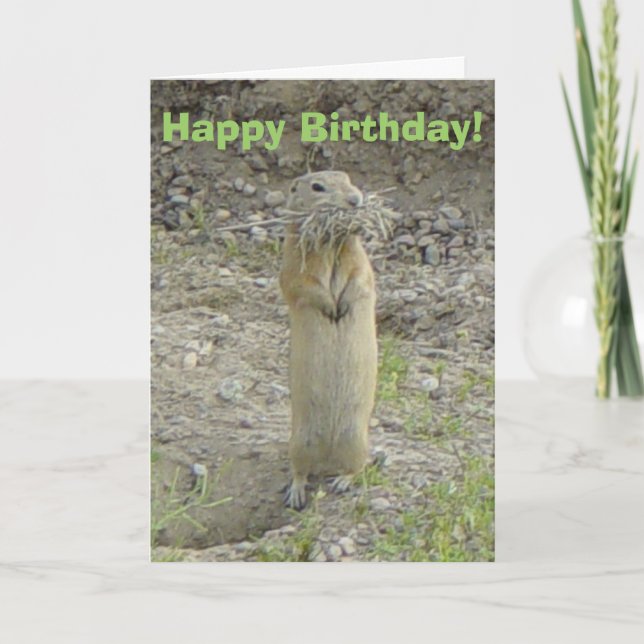 R1 Richardson's Ground Squirrel Card (Front)