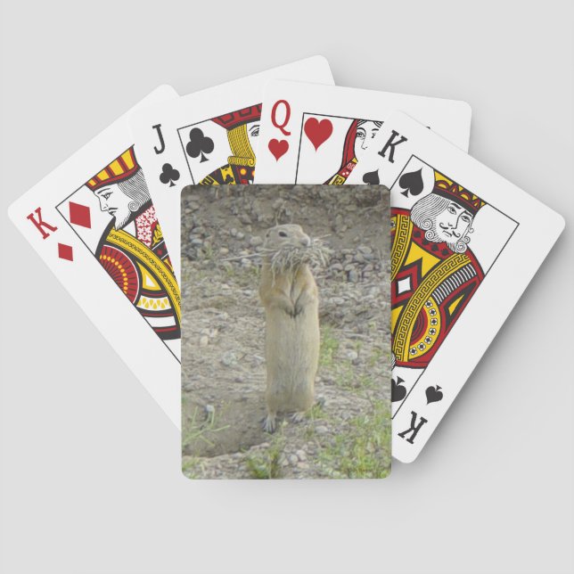 R1 Richardson's Ground Squirrel Poker Cards (Back)