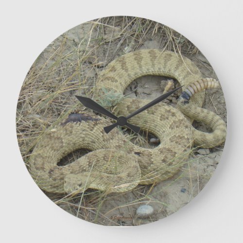 R20 Prairie Rattlesnake Large Clock