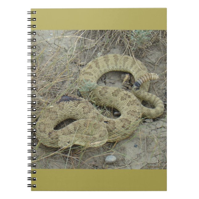 R20 Prairie Rattlesnake Wounded Notebook (Front)