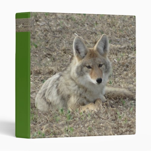 R22 Coyote Laying Binder