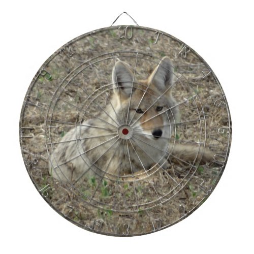 R22 Coyote Laying Dart Board