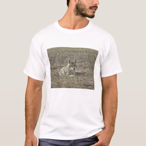 R22 Coyote Laying T_Shirt