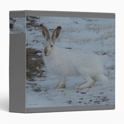 R23 Snowshoe Hare 3 Ring Binder