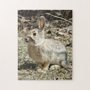 R24 Cotton-tail Rabbit Jigsaw Puzzle