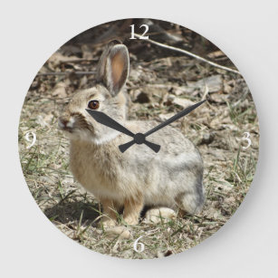 R24 Cotton-tail Rabbit Large Clock