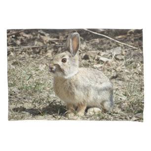 R24 Cotton-tail Rabbit Pillow Case