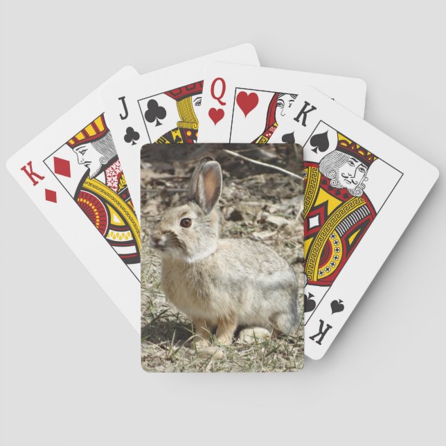 R24 Cotton-tail Rabbit Poker Cards (Back)