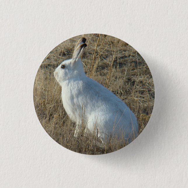 R25 Snowshoe Hare Button (Front)