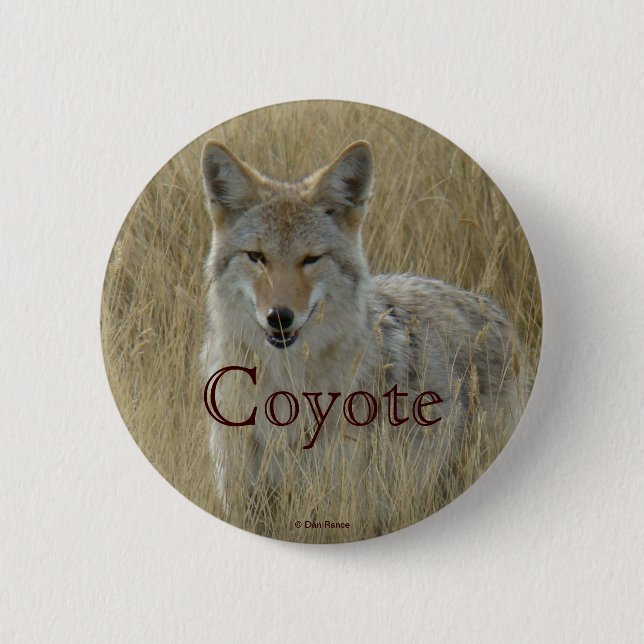 R2 Coyote in Tall Grass Button (Front)