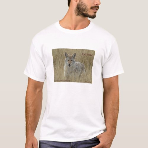 R2 Coyote in Tall Grass T_Shirt