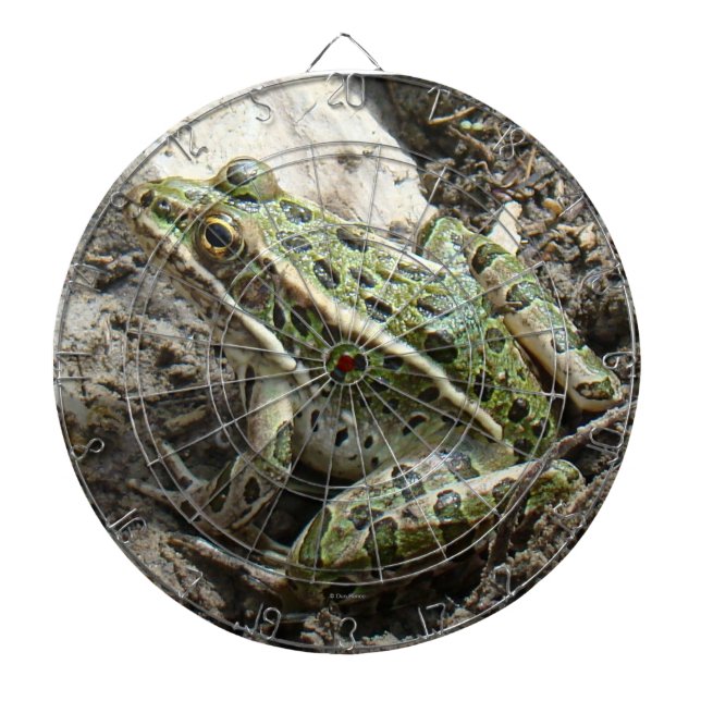R3 Leopard Frog Dart Board (Front)