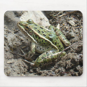 R3 Leopard Frog Mouse Pad