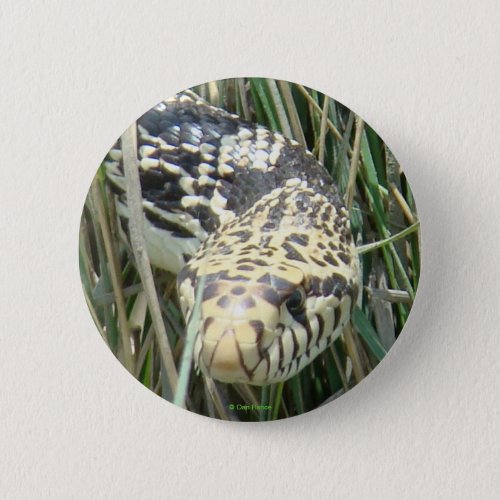 R4 Bull Snake Button