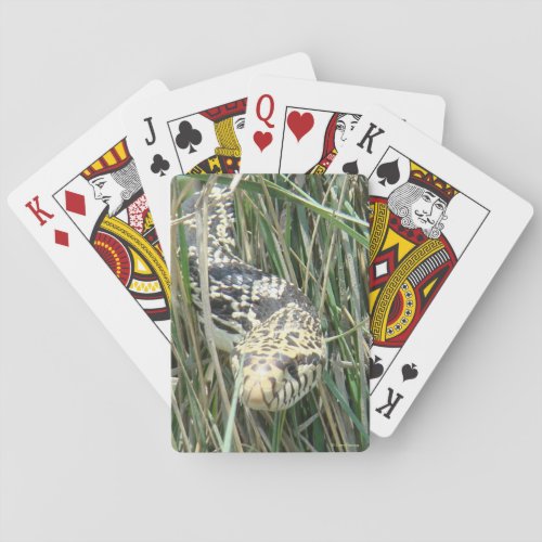 R4 Bull Snake in the Grass Poker Cards