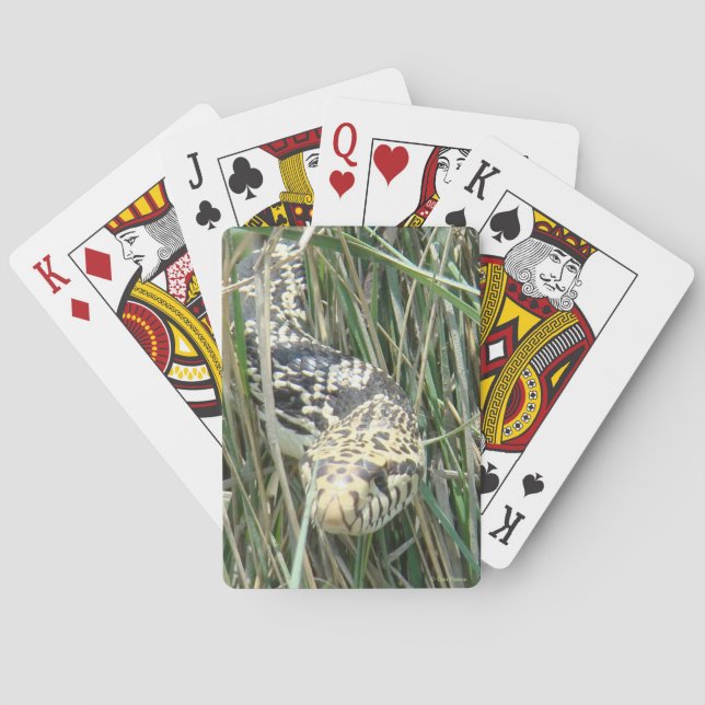 R4 Bull Snake in the Grass Poker Cards (Back)