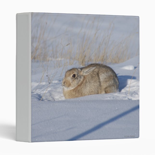 R5 Cottontail Rabbit in Snow 3 Ring Binder (Front/Spine)