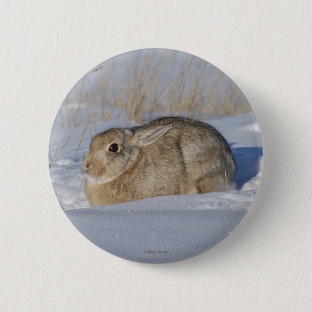 R5 Cottontail Rabbit in Snow Button (Front)